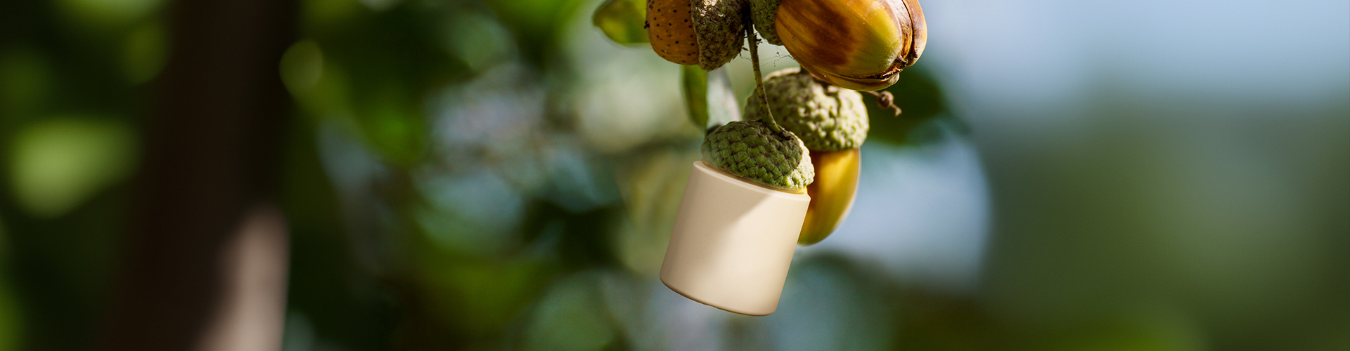 RTCO (HK)CO.,LIMITED